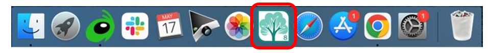 safari_11.JPG